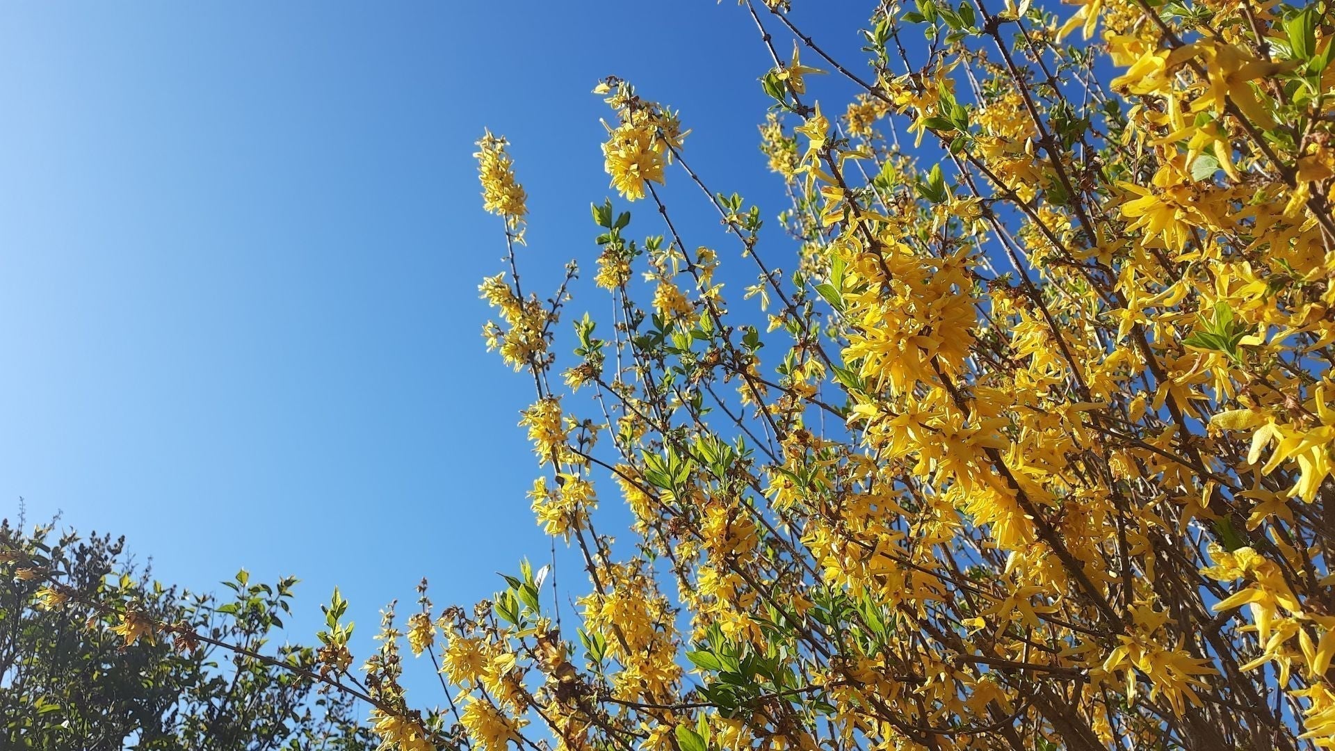 🧶🌷 Frühlingsprojekte als Kreativphase nach Pausen und Unterbrechungen