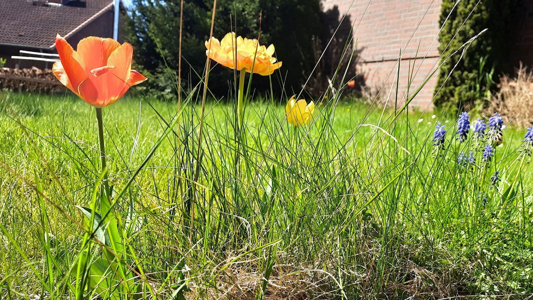 Warum ich im Frühling lieber kleinere Projekte stricke