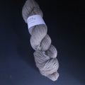 Masham Schlamm